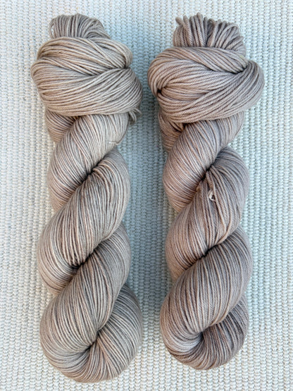 September 2026 - KAKTUSBLÜTE