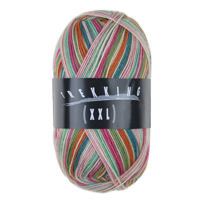 Trekking 4-ply Color