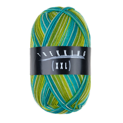 Trekking 4-ply Color