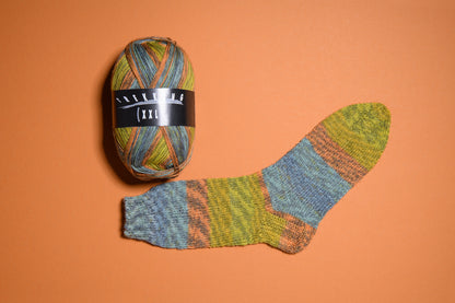 Trekking 4-ply Color