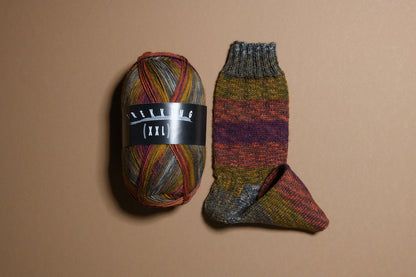 Trekking 4-ply Color