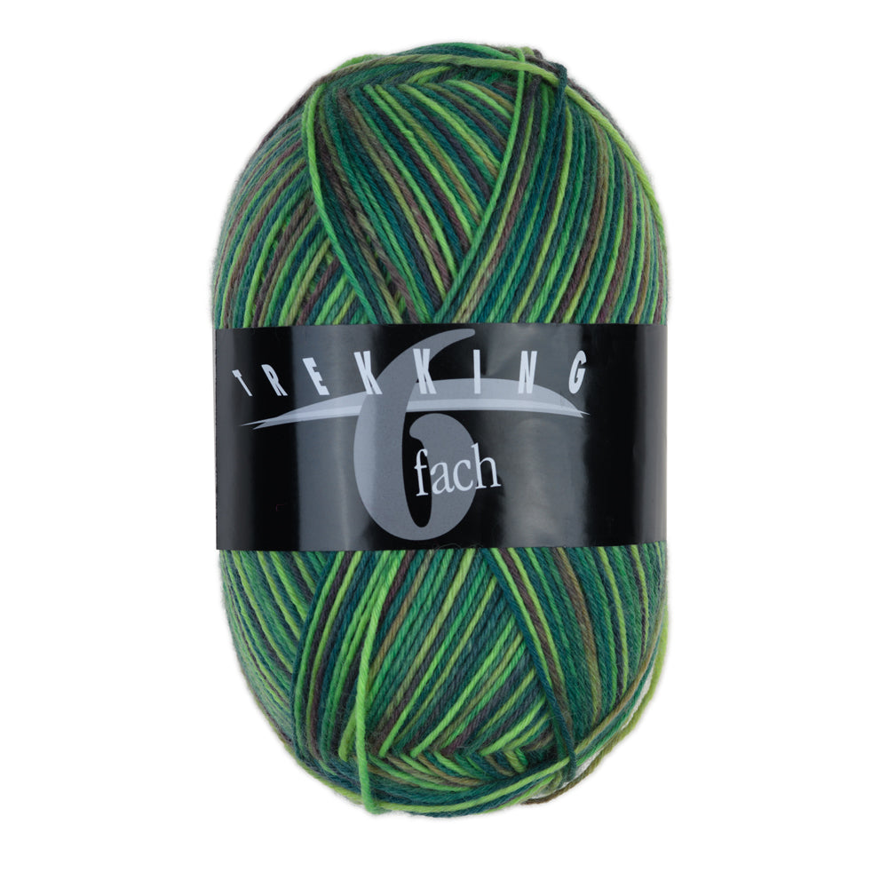 Trekking 6-Ply Color