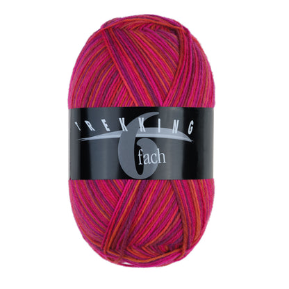Trekking 6-Ply Color