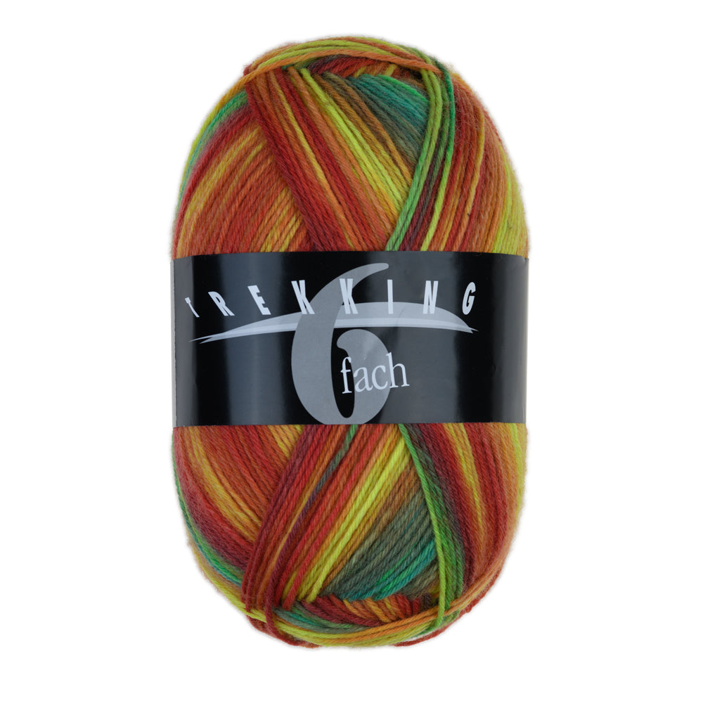 Trekking 6-Ply Color