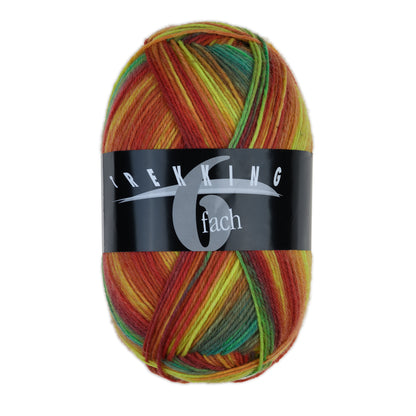 Trekking 6-Ply Color